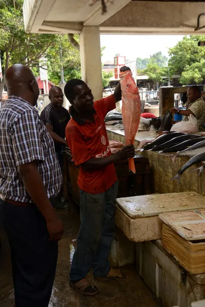 DSC_7579 (Large).JPG